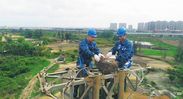 保護生態和諧共生，IKAR防墜器出一份力！